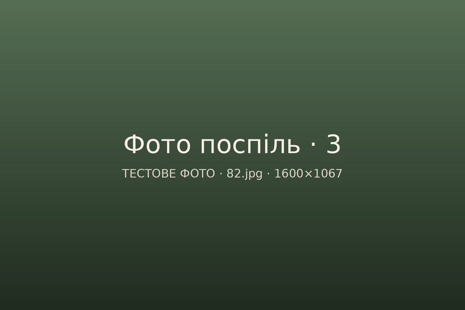 Variant 8 · Several photos in a row: 80.jpg (panorama), 81.jpg — no captions, 82.jpg — with a caption. Click a photo to open it full screen and browse with the arrows.