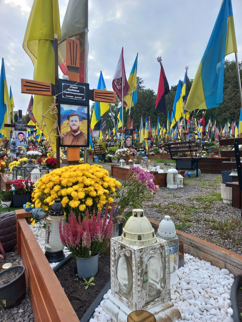 Портрет: Алейніков Андрій Володимирович